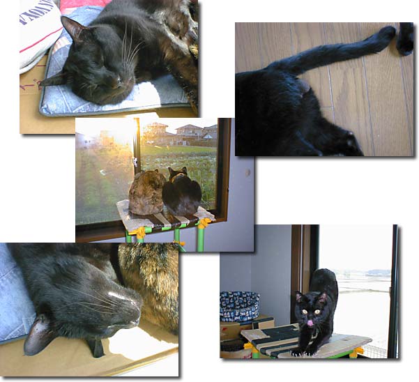 2000�N�̃x�X�g�V���b�g